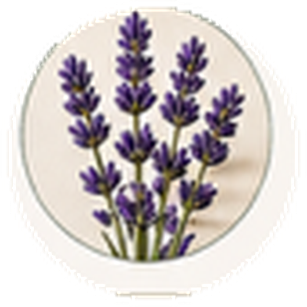lavender